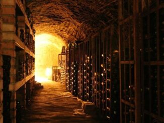 cellar