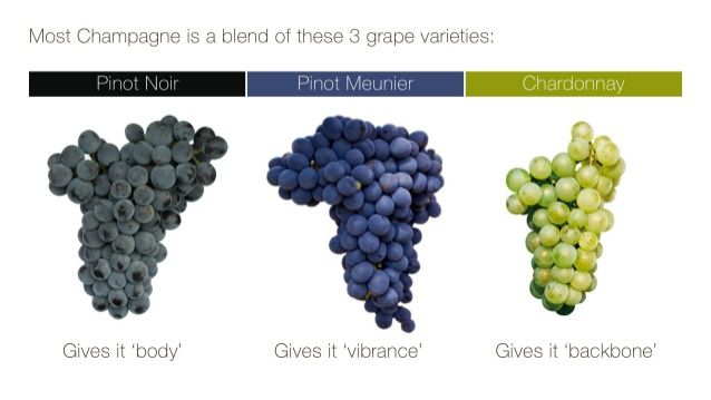 grapes types