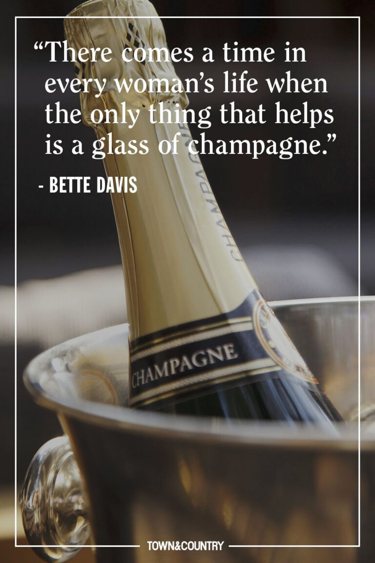 Champagne Memes The Expensive Champagne Guide